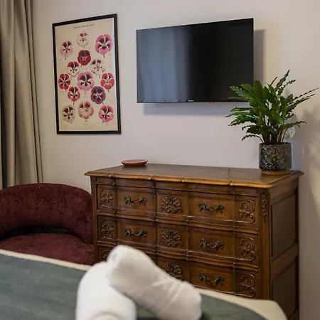 Veronica Micle- Quiet And Cozy Near Piata Victoriei Apartment Bucharest